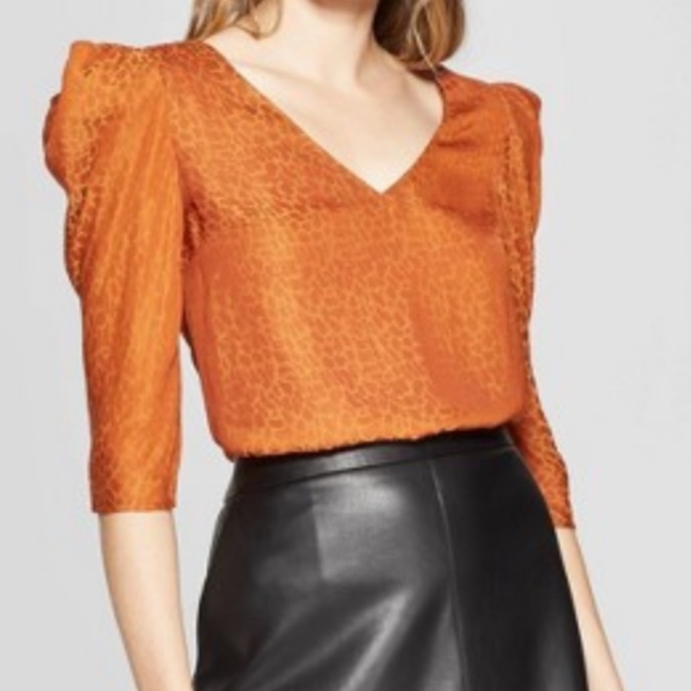 A New Day Maple leopard V-neck 3/4 slv top XS New